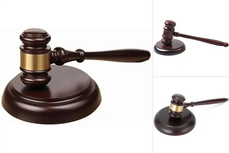 Detailed view of 10 Best Judge Sets for Power and Precision