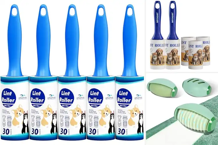 Detailed view of 10 Best Portable Sticky Rollers: Ultimate Lint Grabbers
