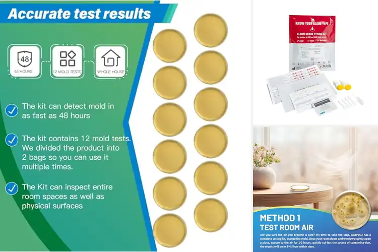 Detailed view of 10 Best Home Testing Kits for a Healthier Home