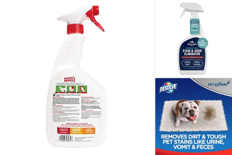 Detailed view of 10 Best Cat Stain Removers for a Fresh, Clean Home