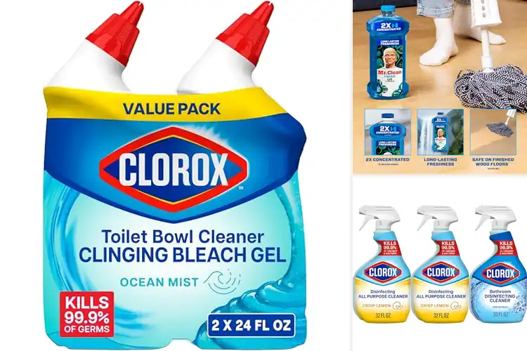 Detailed view of Best Cleaning Products: 10 Must-Haves for a Sparkling Home