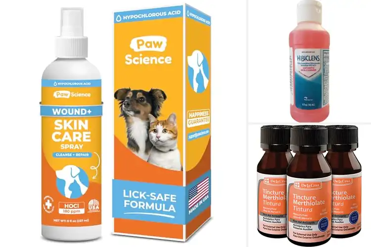 Detailed view of 10 Best Safe Antiseptic Products