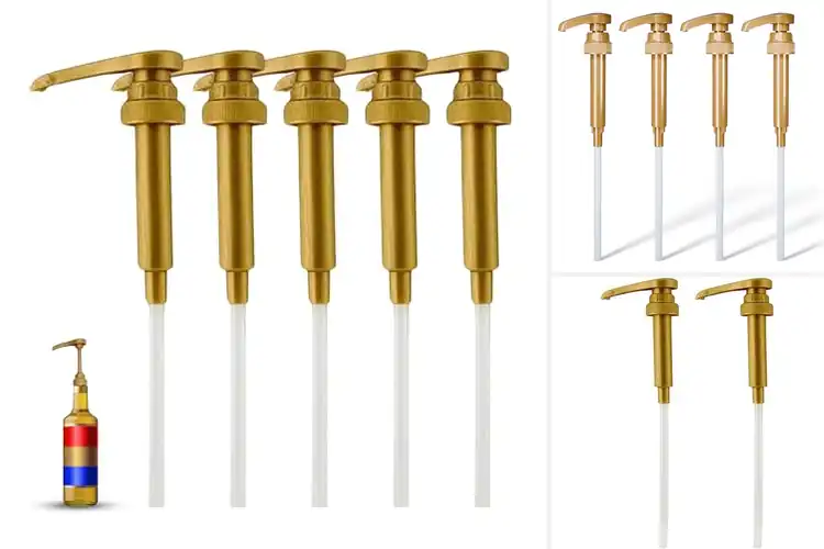 Detailed view of Best Torani Syrup Pumps