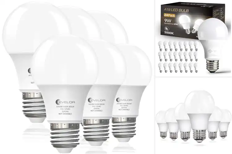 Detailed view of Best Energy Saving Light Bulbs