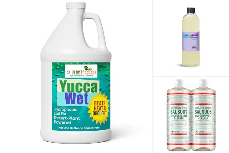 Detailed view of Best Plant-Based Surfactants