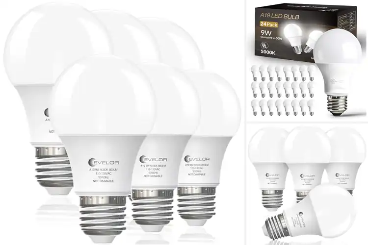 Detailed view of Best Energy-Saving LED Bulbs