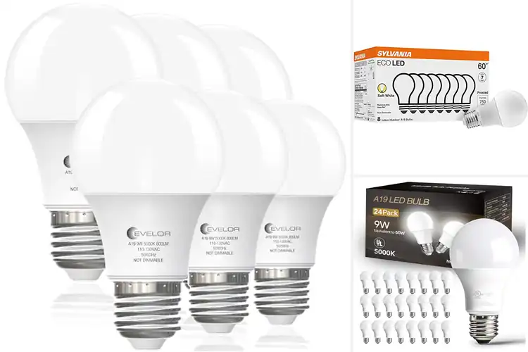 Detailed view of Best Long-Lasting Light Bulbs