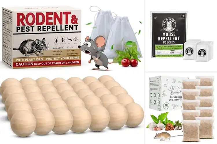 Detailed view of Best Mice Deterrents: Top Solutions for a Rodent-Free Home