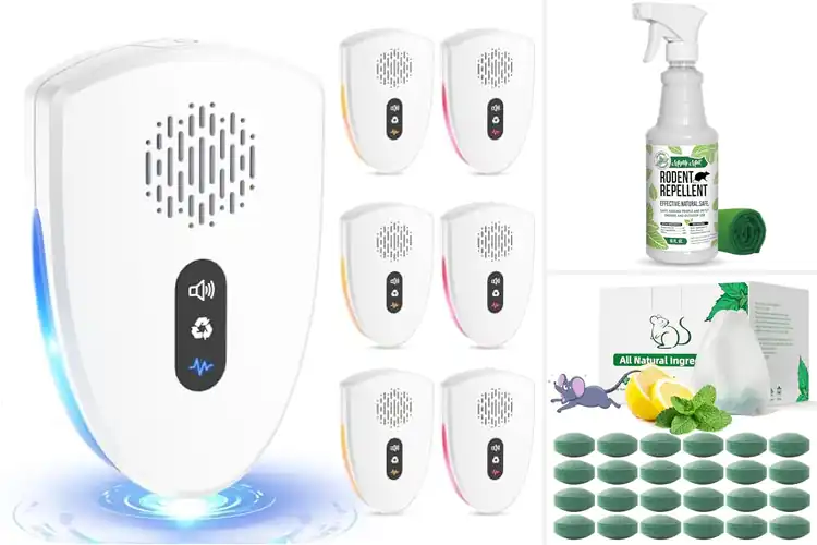 Detailed view of Best Mice Control Solutions
