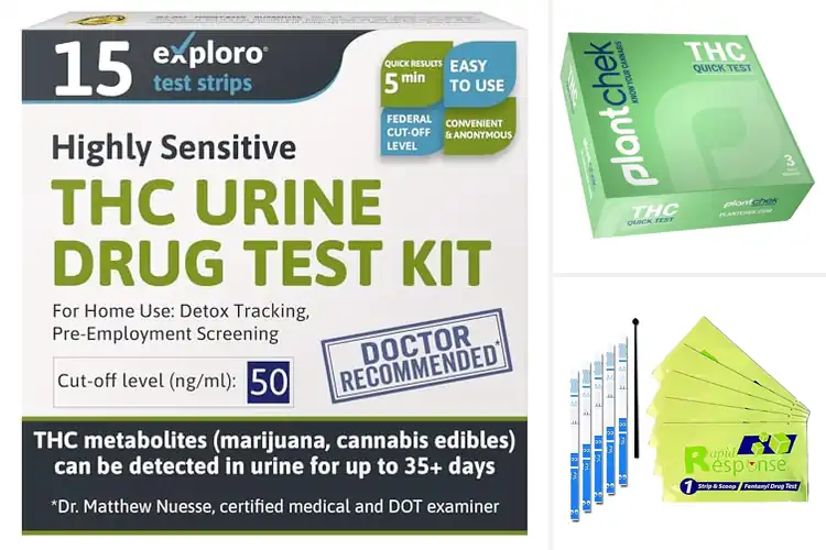 Detailed view of Best Quick Tests: Top 10 Reliable Options for Fast Results