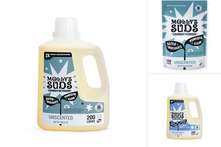 Detailed view of Best Molly’S Suds Laundry Detergent