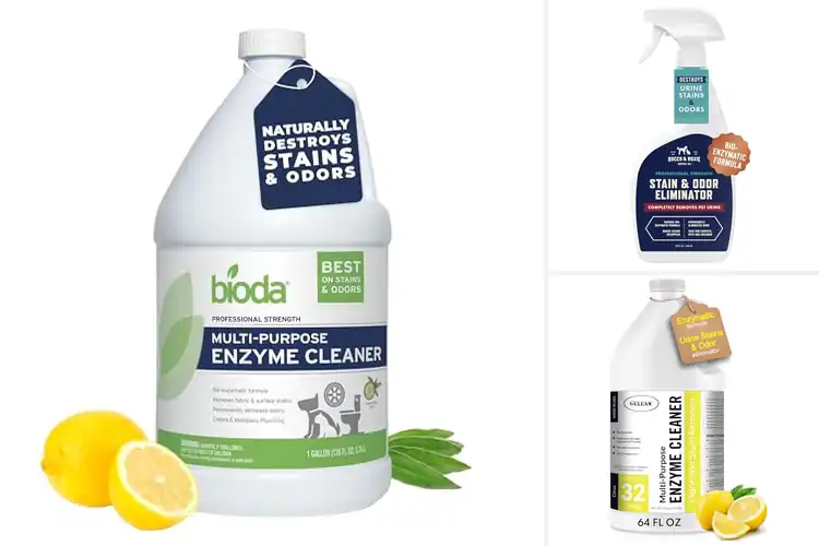 Detailed view of Best Enzyme Cleaners: Top 10 Picks for Tough Stains & Odors