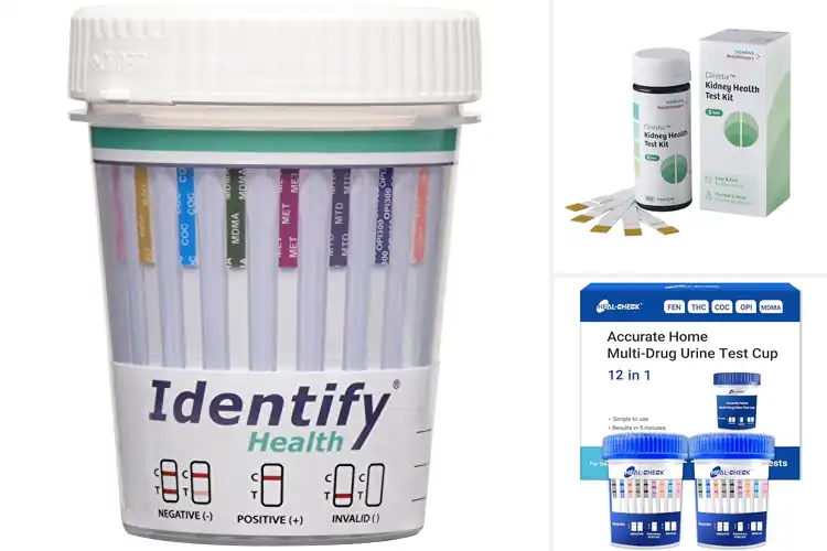 Detailed view of Best Workplace Health Tests for Safer, Stronger Teams