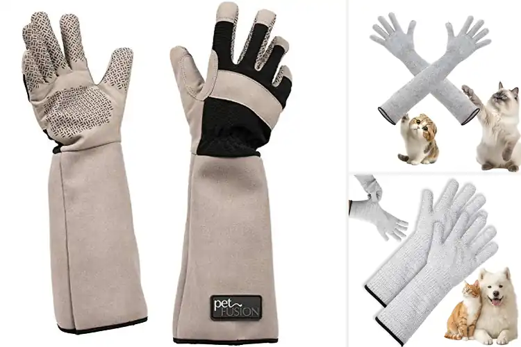 Detailed view of Best Pet‑Care Protective Gloves